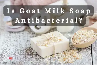 Is Goat Milk Soap Antibacterial